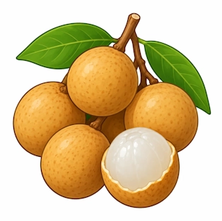 Longan